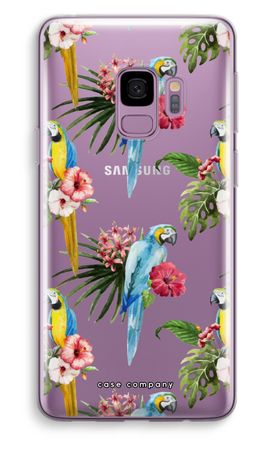 Colourful parrots