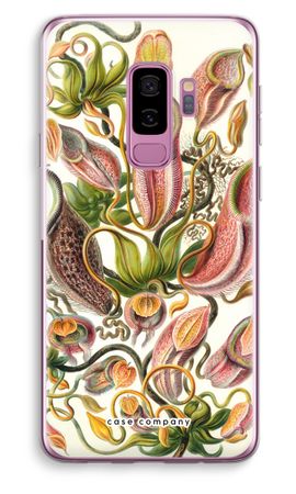 Haeckel Nepenthaceae