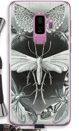 Haeckel Tineida