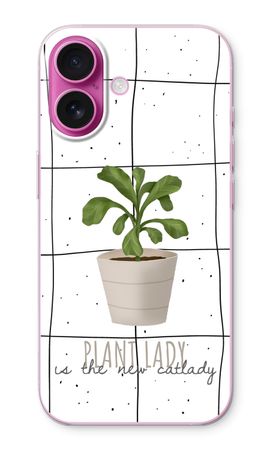 Houseplant on windowpane