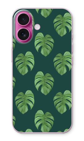 Monstera leaves