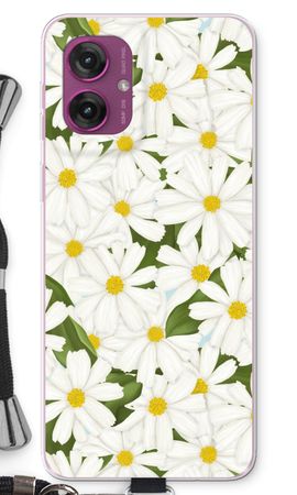 Summer Daisies