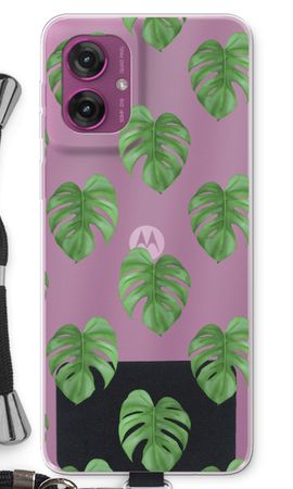 Monstera leaves