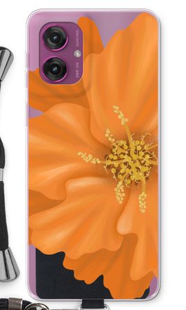Orange Ellila flower