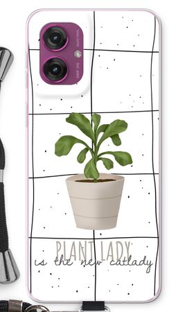 Houseplant on windowpane