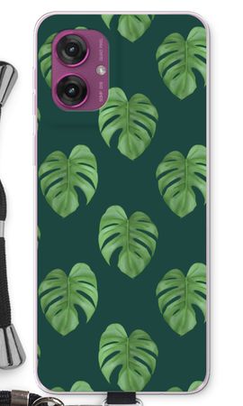 Monstera leaves