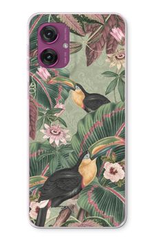 Tropical jungle toucan