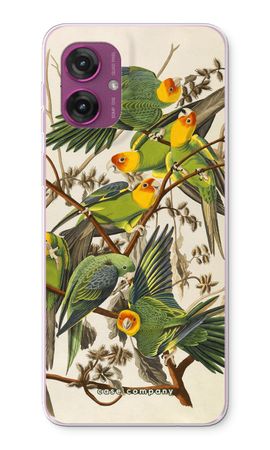 Carolina Parrot