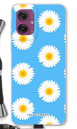 Daisies