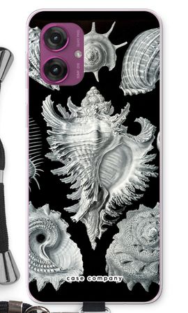 Haeckel Prosobranchia