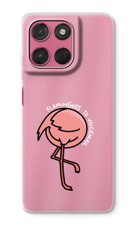 Flamingoes to voicemail