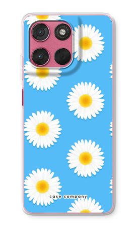 Marguerites