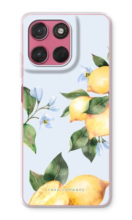 Orchard Sun