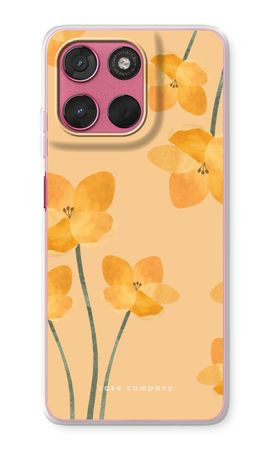 Sunlit bloom