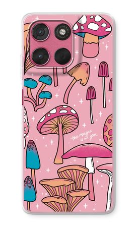 Magic Mushrooms