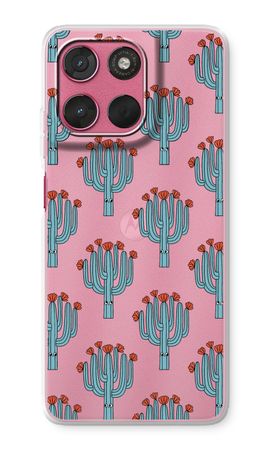 Cacti