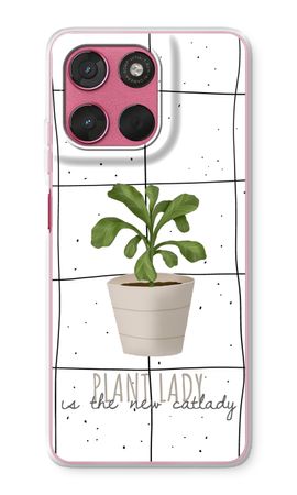 Houseplant on windowpane
