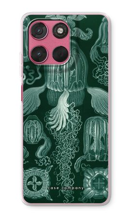 Haeckel Cubomedusae