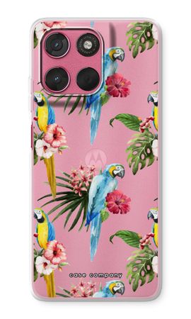 Colourful parrots