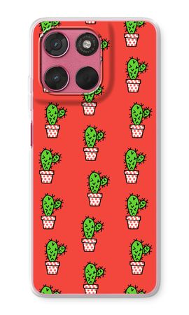 Mini cactus