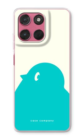 BIG Robin 1