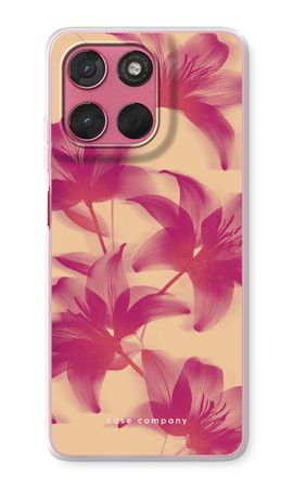 Sunset Bloom