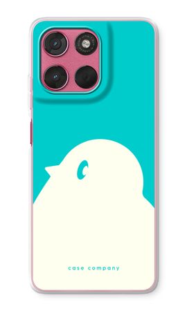 BIG Robin 2