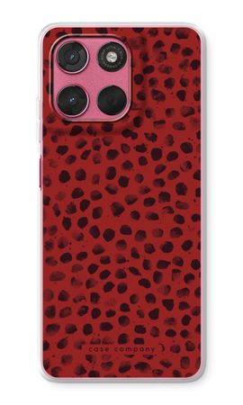 Ladybird Paint