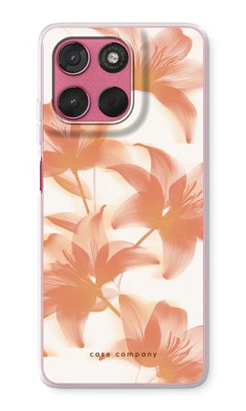 Peach Lilly
