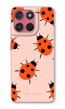 Ladybugs