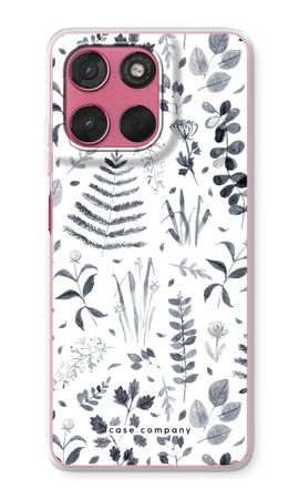 Wild Botanica