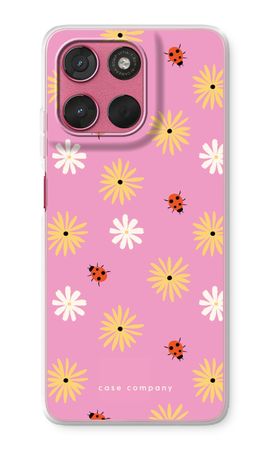 Petals And Ladybugs