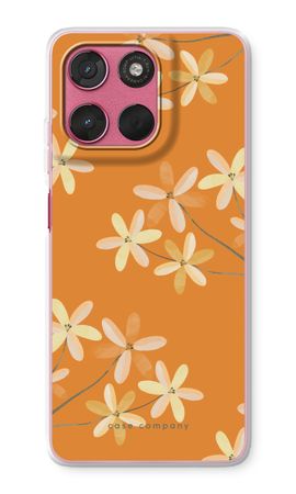 Warm bloom