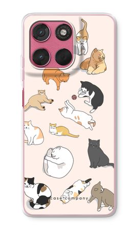 Cats
