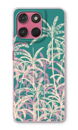 Tropical Palms