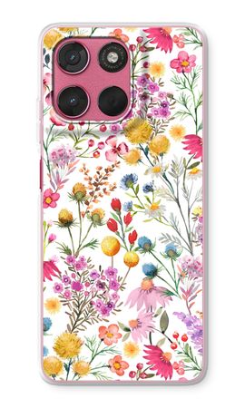 Delicate Plants and Flowers