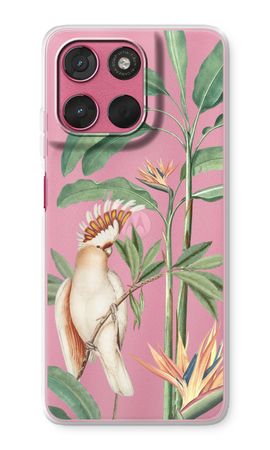 Tropical Parrot