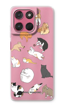 Cats