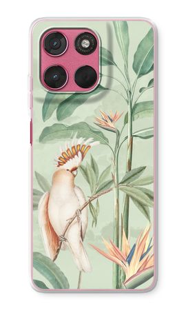Tropical Parrot