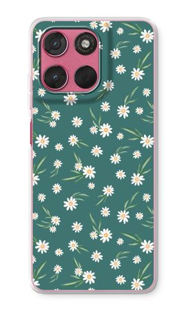 Kleine Gänseblümchen