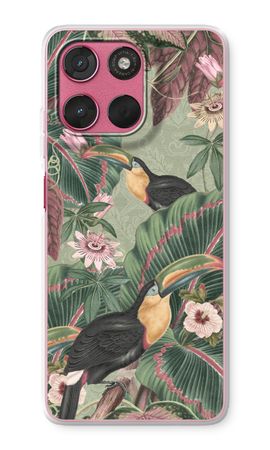 Tropical jungle toucan