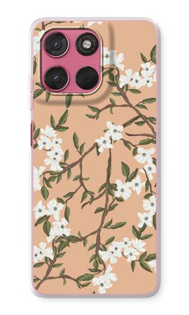 Blossoming spring