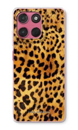 Gepard