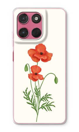 Red poppy