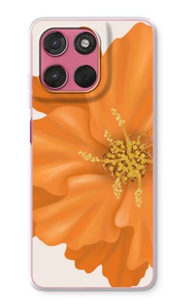 Orange Ellila flower