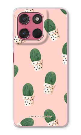 Cactus rose
