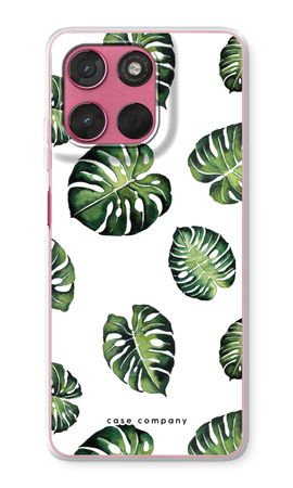 Tropical leaves