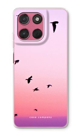 Fly away