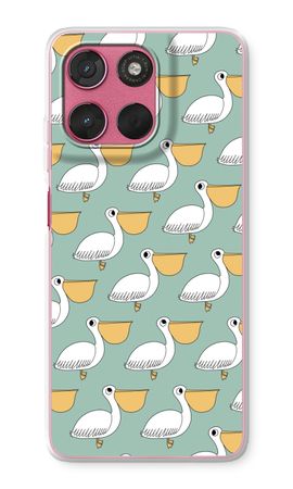 Pelican
