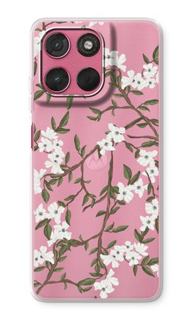 Blossoming spring